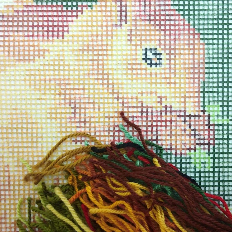 Brvsk Ferine Needlepoint Kit for Adults and Beginners â€” Squirrel 16â€³â€‰Ã—â€‰16â€³ with Clear, Precise Printed Design on Cotton Canvas; Includes 2 Needles, Yarn, and Easy-Read Chart - Image 2
